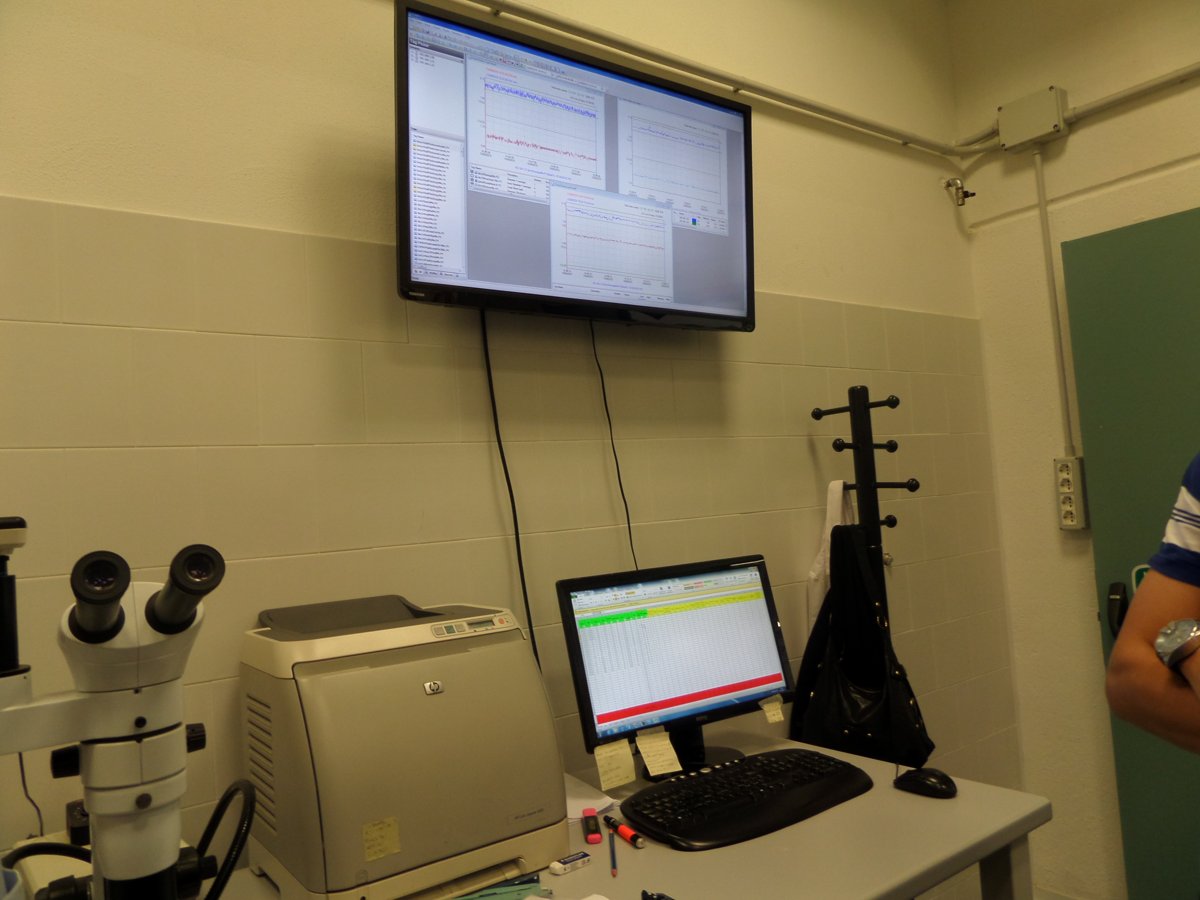 Labor und Analytik