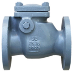 Swing check valve CH030-150