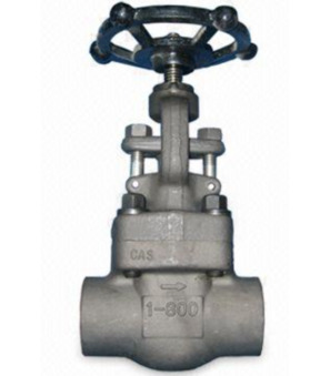 Globe valve GL121-15-W