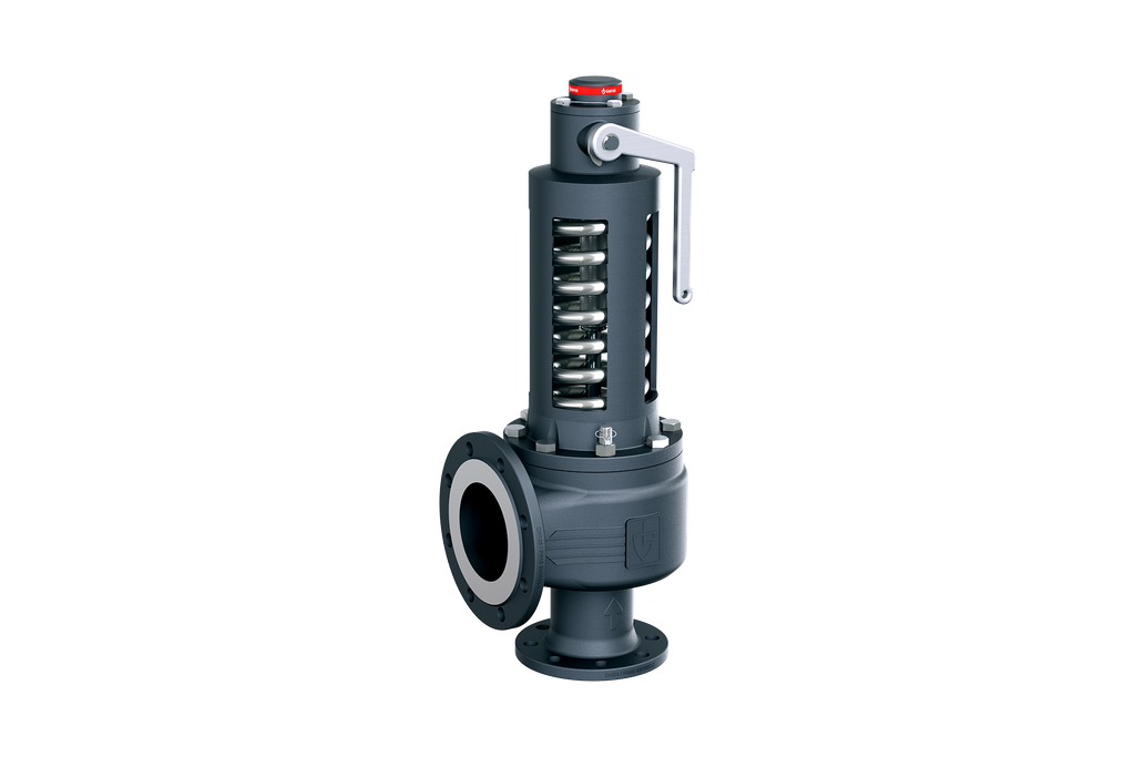 Sicherheitsventil DN32/PN40-DN50/PN16-metallisch-10