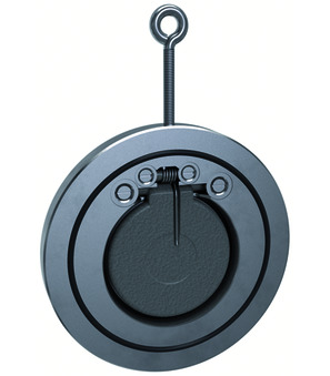 Swing check valve CM-6666M-100