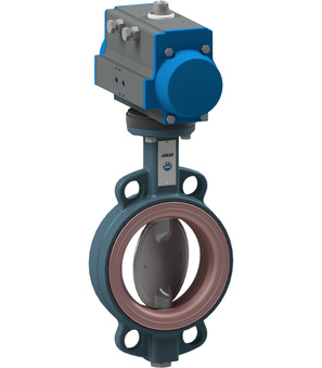 BUW2-100-DSC-D32-ABS54-C001-03-C002-31-LV-2