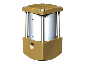 CVLV-06-NC-005