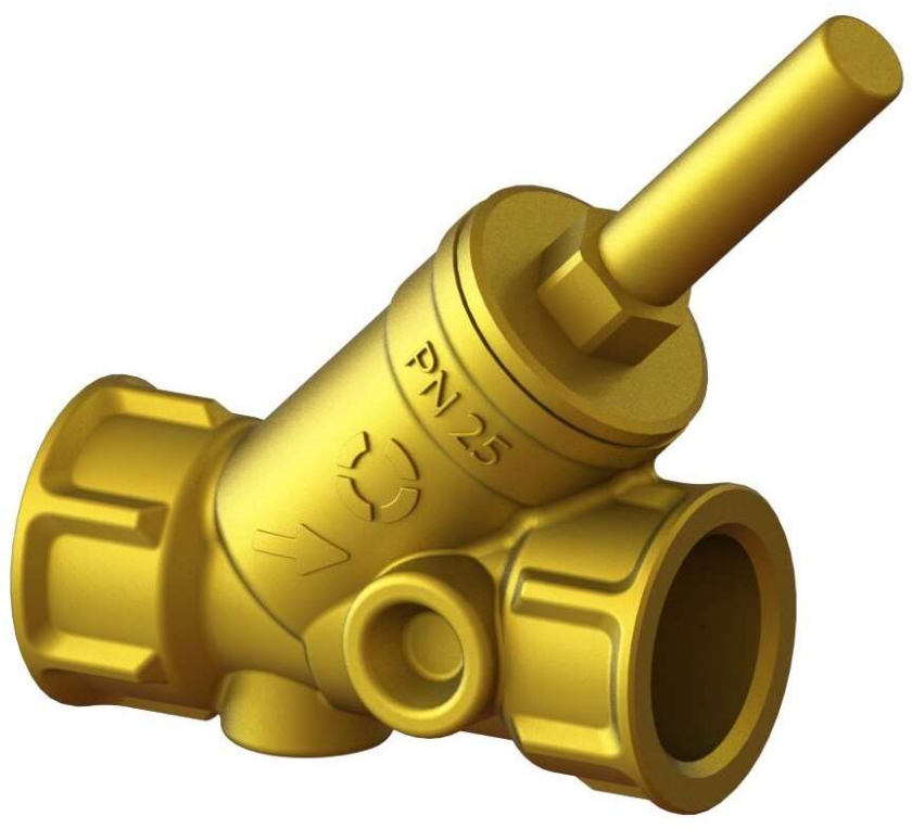 Angle seat check valve CH117-38