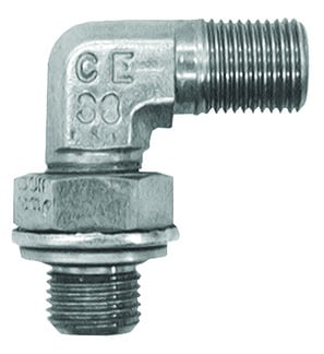 305404