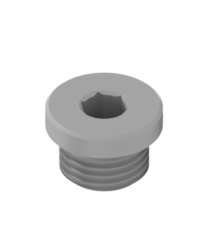 Verschlussschraube TH50-14-N-0