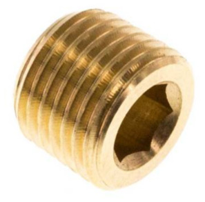 Plug screw 1"