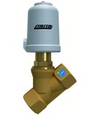 Pneumatically operated seat valve SE02-10-RT81