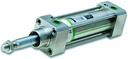 Tie-rod magnetic cylinder 50-100-M16x1,5-1/4"-1178