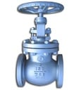 Globe valve GL102-15-W