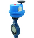 Butterfly valve with electrical actuator BUW2-200-DSE-0T2