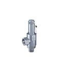 Sicherheitsventil 1/4"-6-1/2"-PTFE-2,5