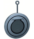 Swing check valve CH044-100-E