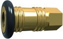 Coupling DN 12 C0C12-F34-B